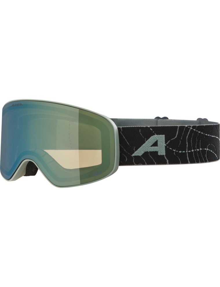 FERNIE Q-LITE Ski goggle